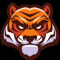 377 MSG PK Buying Tigers